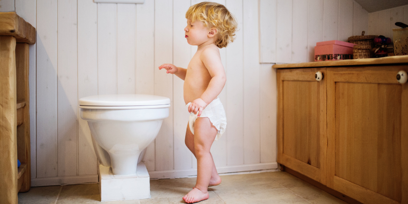 potty training timeline interested in the toilet