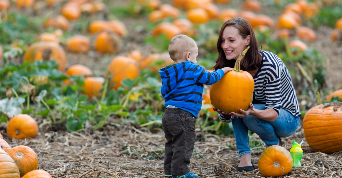 budget-friendly family activities in October